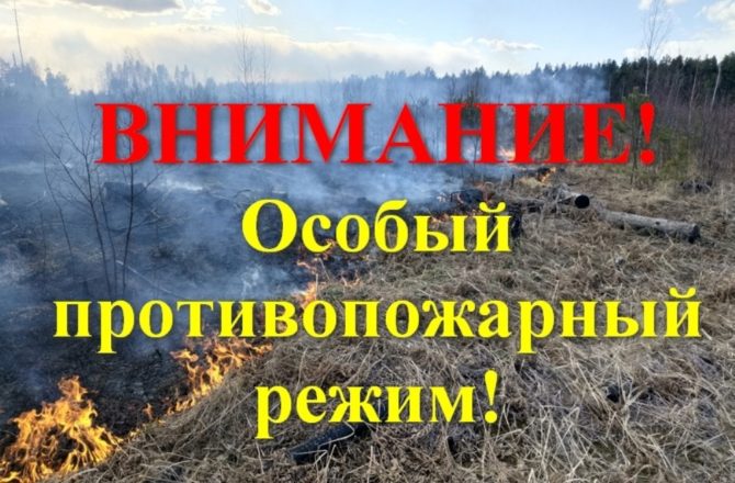 В лесах Пермского края до 10 сентября вводят особый противопожарный режим
